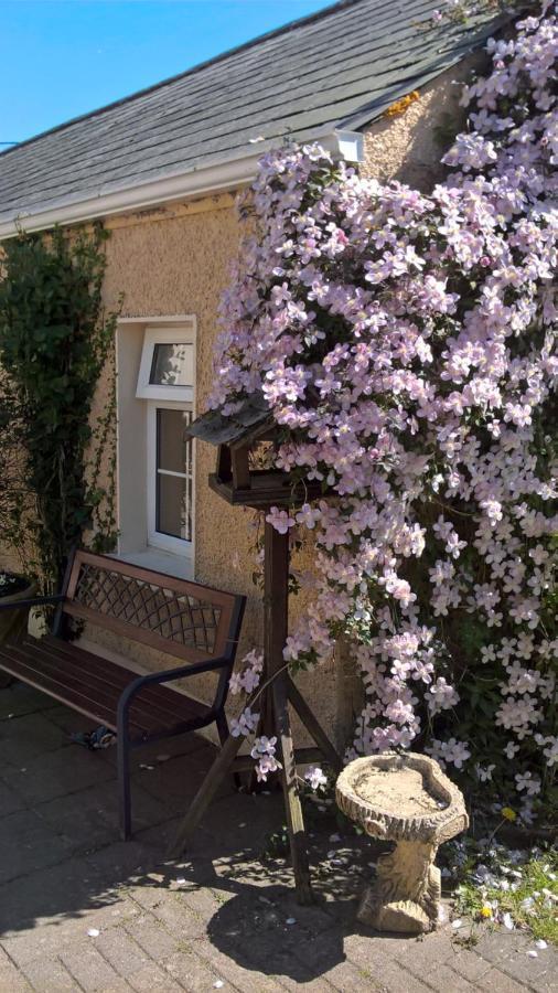 Annalee House Bed & Breakfast Butlersbridge